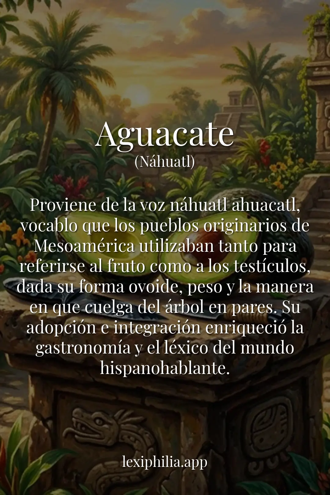 Aguacate - Lexiphilia