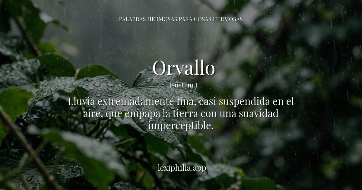 Orvallo - Lluvia fina y neblina tenue sobre un bosque verde